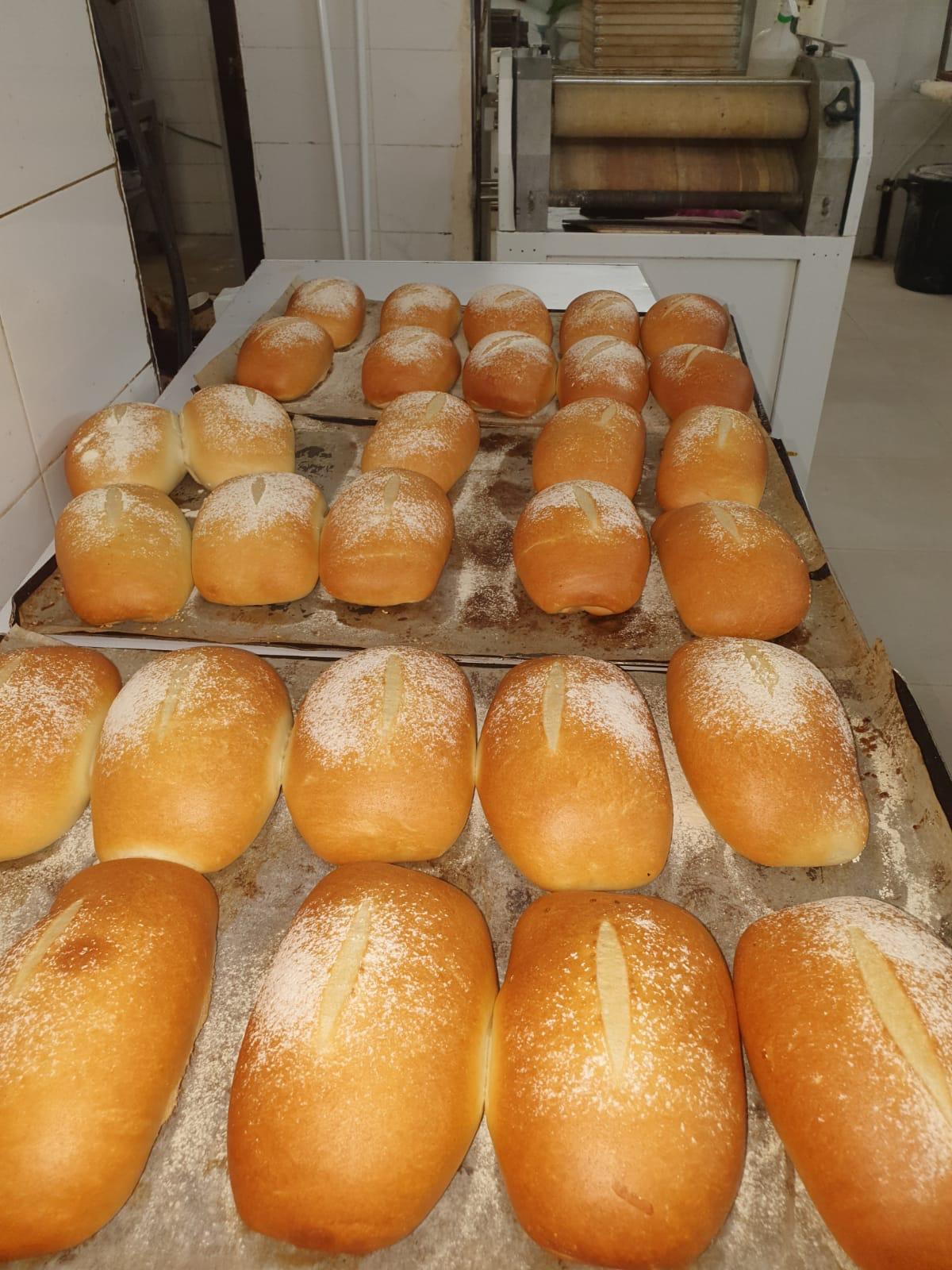 WhatsApp Image 2020-12-04 at 8.56.49 AM.jpeg.jpeg